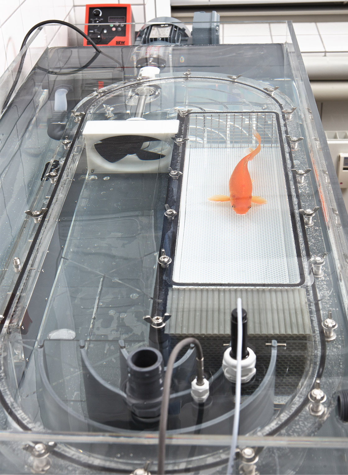 Höntzsch-Flow velocity measurement in flowing waters such as streams and rivers